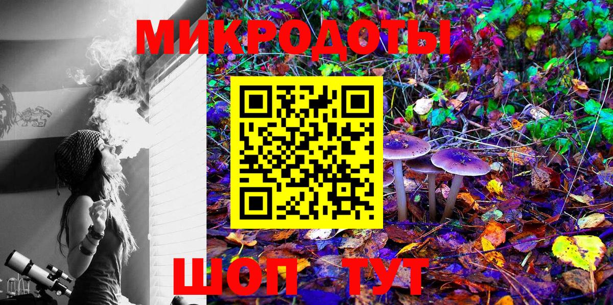 Галлюциногенные грибы мухоморы Москва