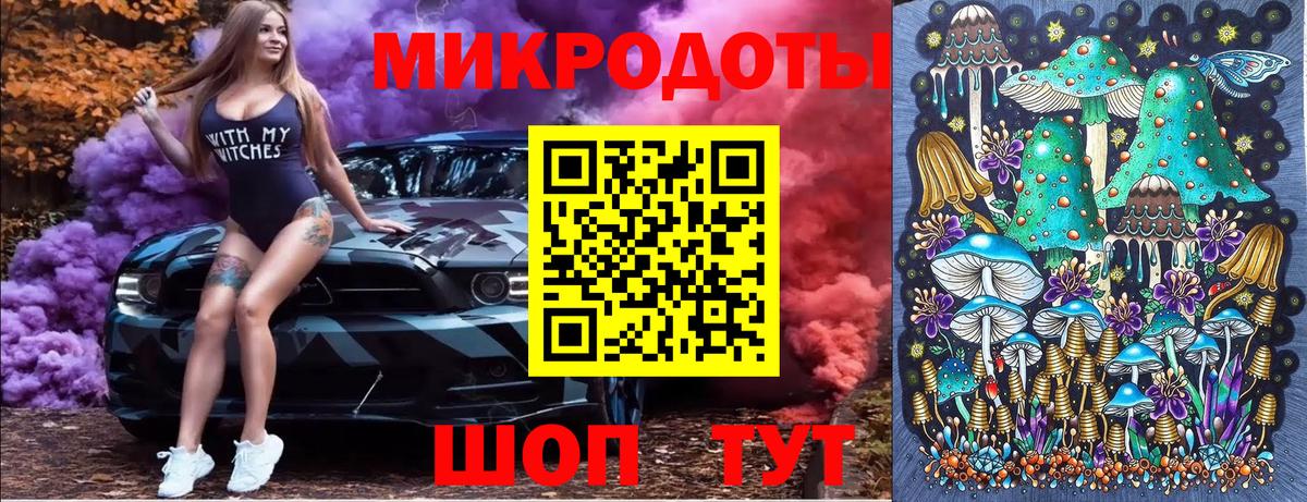Москва  Галлюциногенные грибы Psilocybine cubensis  Вход с VPN 